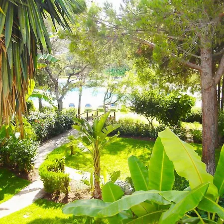 Beautiful, Bright And Spacious Duplex In Marbella * Εστεπόνα
