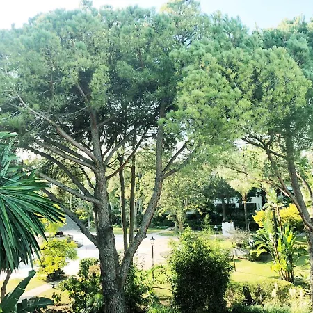 Beautiful, Bright And Spacious Duplex In Marbella Εστεπόνα